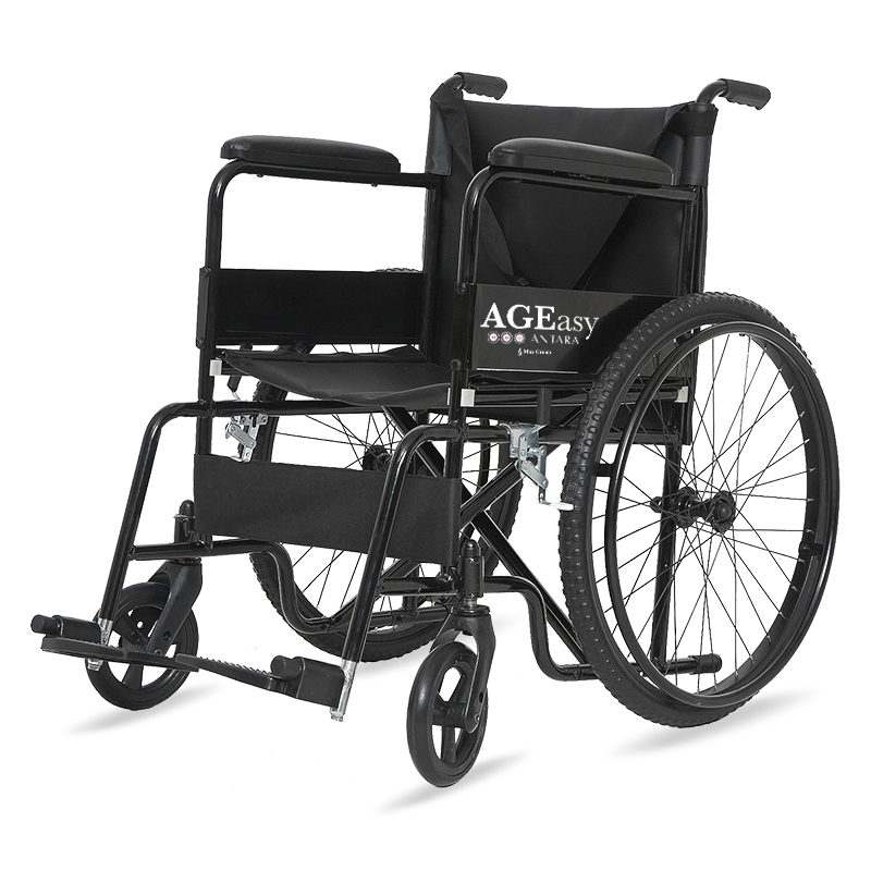 AGEasy WheelEasy for Seniors