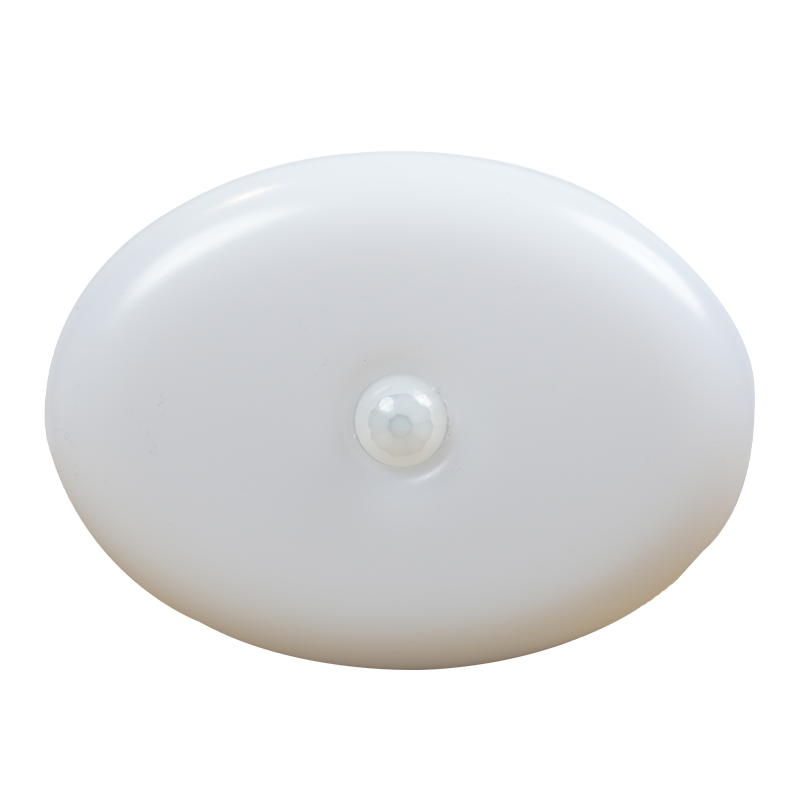 AGEasy Motion Sensor Light